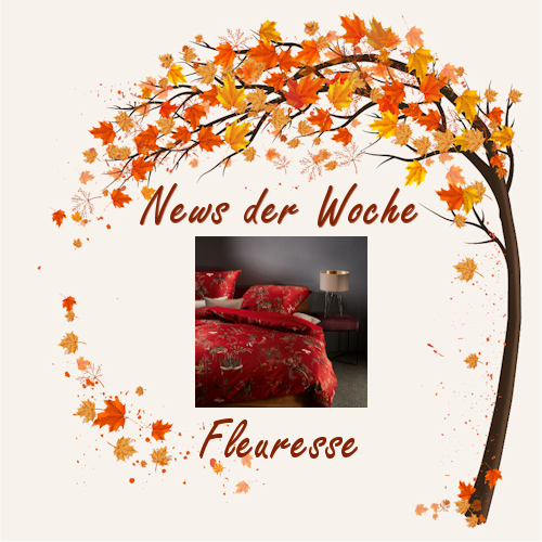 news_tip_der_woche_500